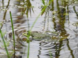 Monolithic Part Of The Waters