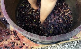 making a wine drink