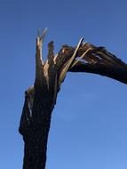 Wood The Destruction Of Storm