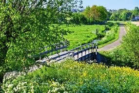 Landscape Holland Dutch