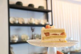 soft creamy dessert