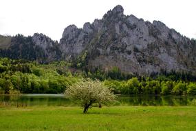 Lake Mountain Nature Laudachsee On