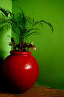 Desktop Leaf Color