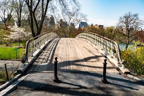 Central Park Bridge Spring