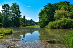 Park Lake Forest