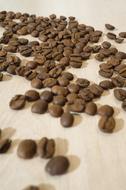 roasted grains on the newspaper