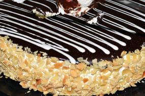 delicious chocolate cream cake
