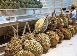 sweet delicious durian