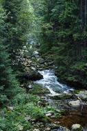 Nature River Waterfall