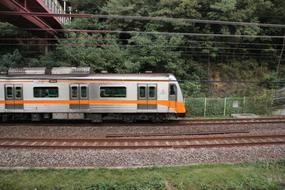 Travel Nature Train