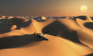 Desert Wilderness Sunset