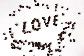 brown grains on a white background