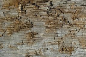 Wood-Fibre Boards Texture Nature