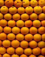 Fruit Oranges Autumn