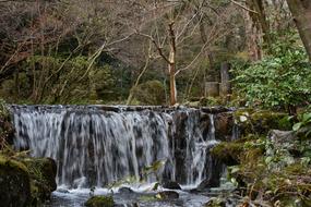 Natural Landscape Park
