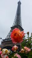 Paris Tower Eiffel