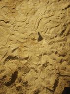 Sand Sandburg