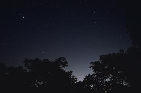 Star Night Nature