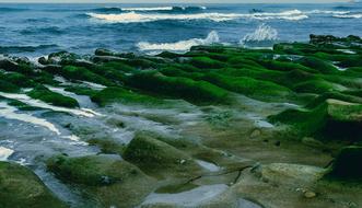 Water Nature Sea