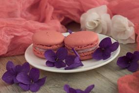 pink sweet treats