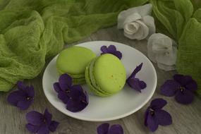 green tasty macarons