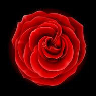 increase red flower natural