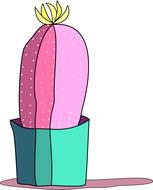 cactus pink cactus
