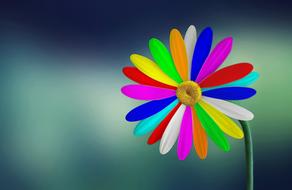 Nature Summer Flower