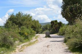 Path Boundary Warning
