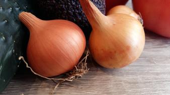 fresh juicy onions