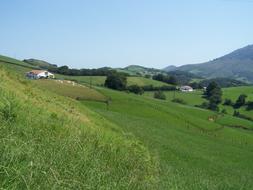 Nature Lawn Landscape