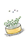children drawing of a pot with flowers