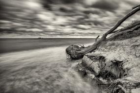 Waters Coast Beach