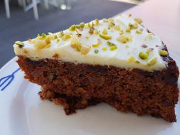 chocolate sweet delicate cake