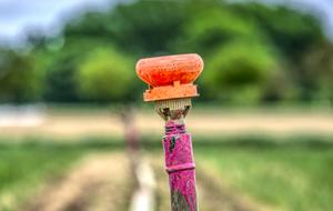 Irrigation Agriculture Water
