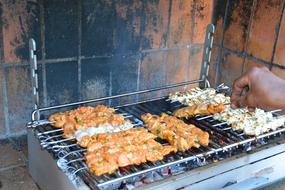 Kebab with spices on the fire