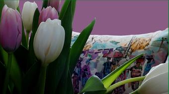 tulips by the bed in the room