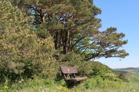 Bank Rest Trail