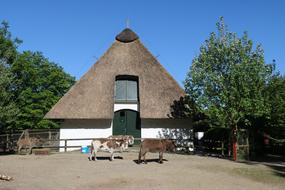 Bremen Citizens Park Animal