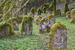 Grave Stones Jewish Cemetery Old