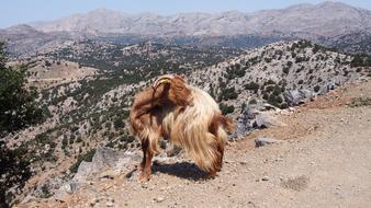 Nature Travel Dry