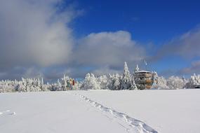 Snow Winter Cold