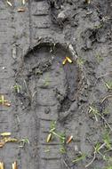 Nature Earth Dirty