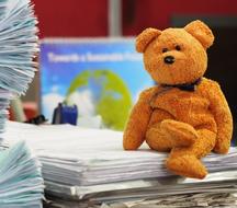 cute Toy Bear Gift