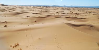 Desert Morocco Merzouga