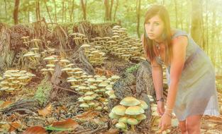 the girl in the woods is beautiful