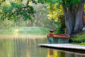 Nature Water Tree