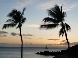 Beach Seashore Tropical