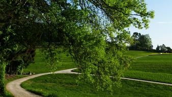 Landscape Nature Reported