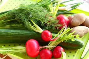 Fresh ripe vegetables are delicious